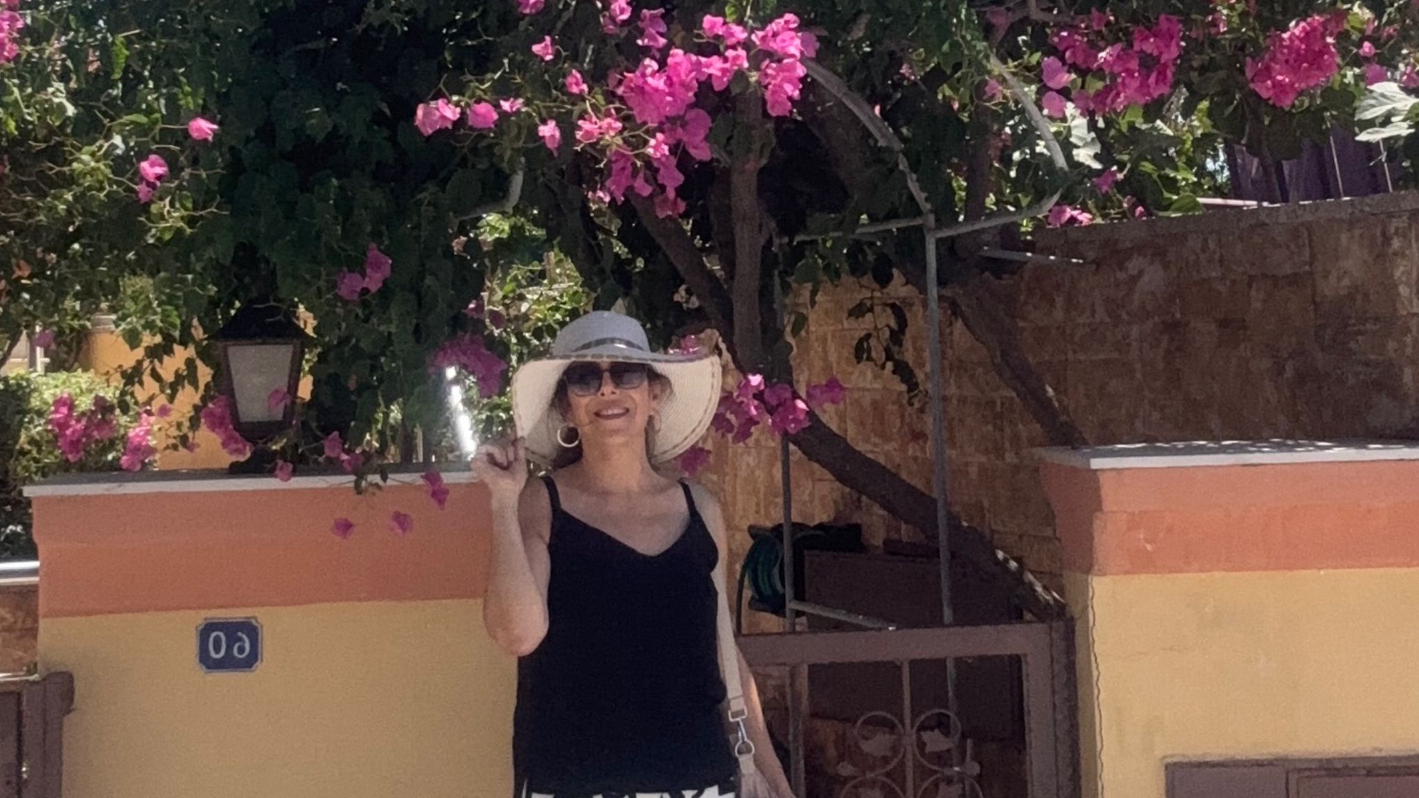 YANAN ZEYTİN AĞAÇLARININ YAŞAMA DÖNMESİ NASIL OLACAK?