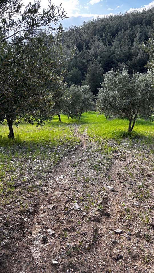 Sürdürülebilir Toprak Yönetimi Nasıl Sağlanır? l TOPRAK İŞLEMEDE MALİYETLERİN YÖNETİLMESİ