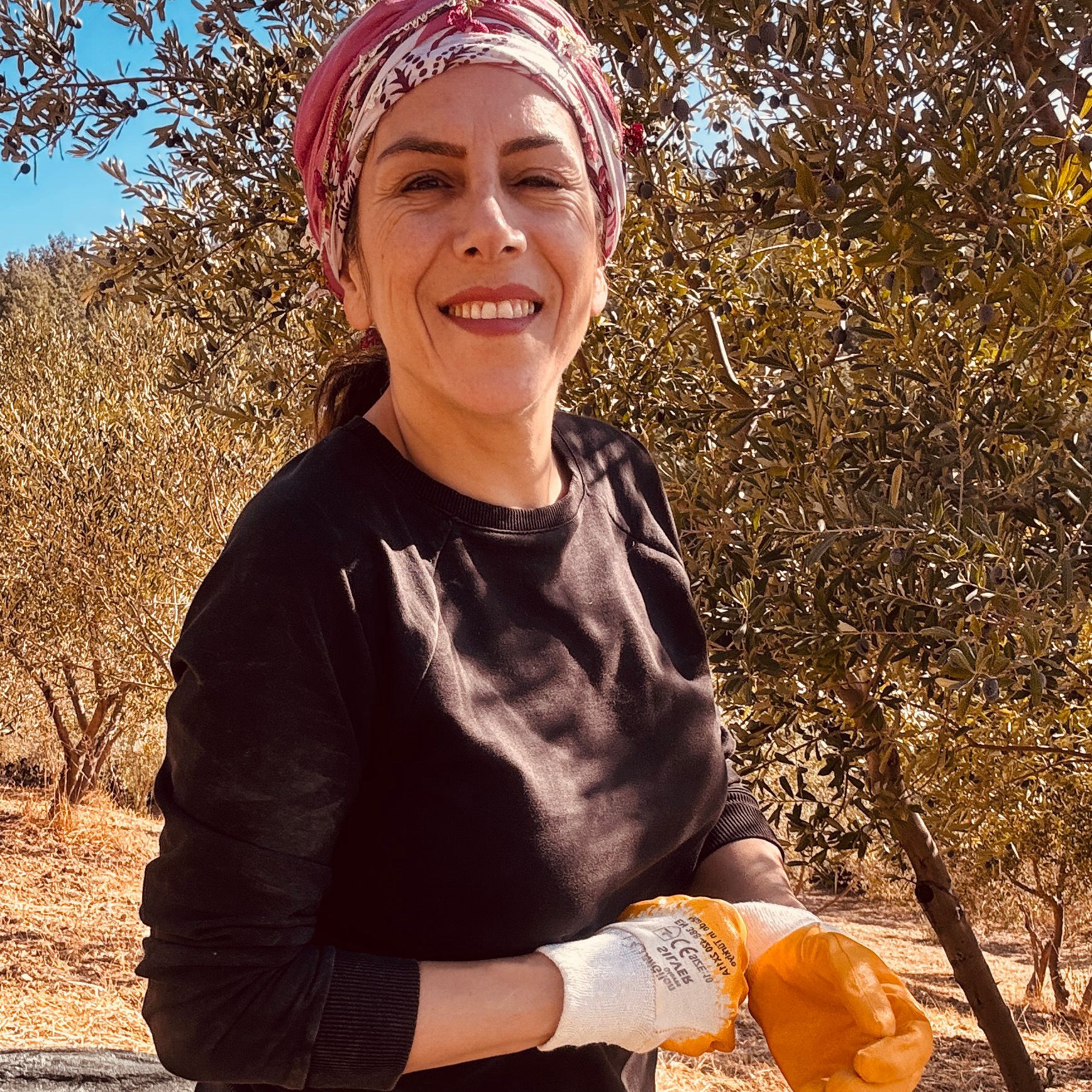 Zeytinlikte Verim Nasıl Arttırılır? l ARAZİ OKUMA EĞİTİMİ