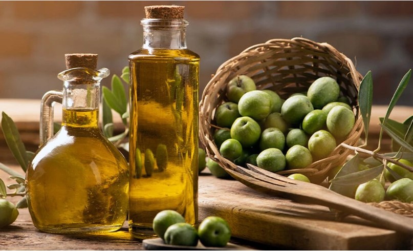 Zeytin Ağacının Bakımı ve Budanması Eğitimi